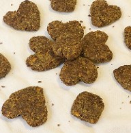 44886454911_cd15c79982_m