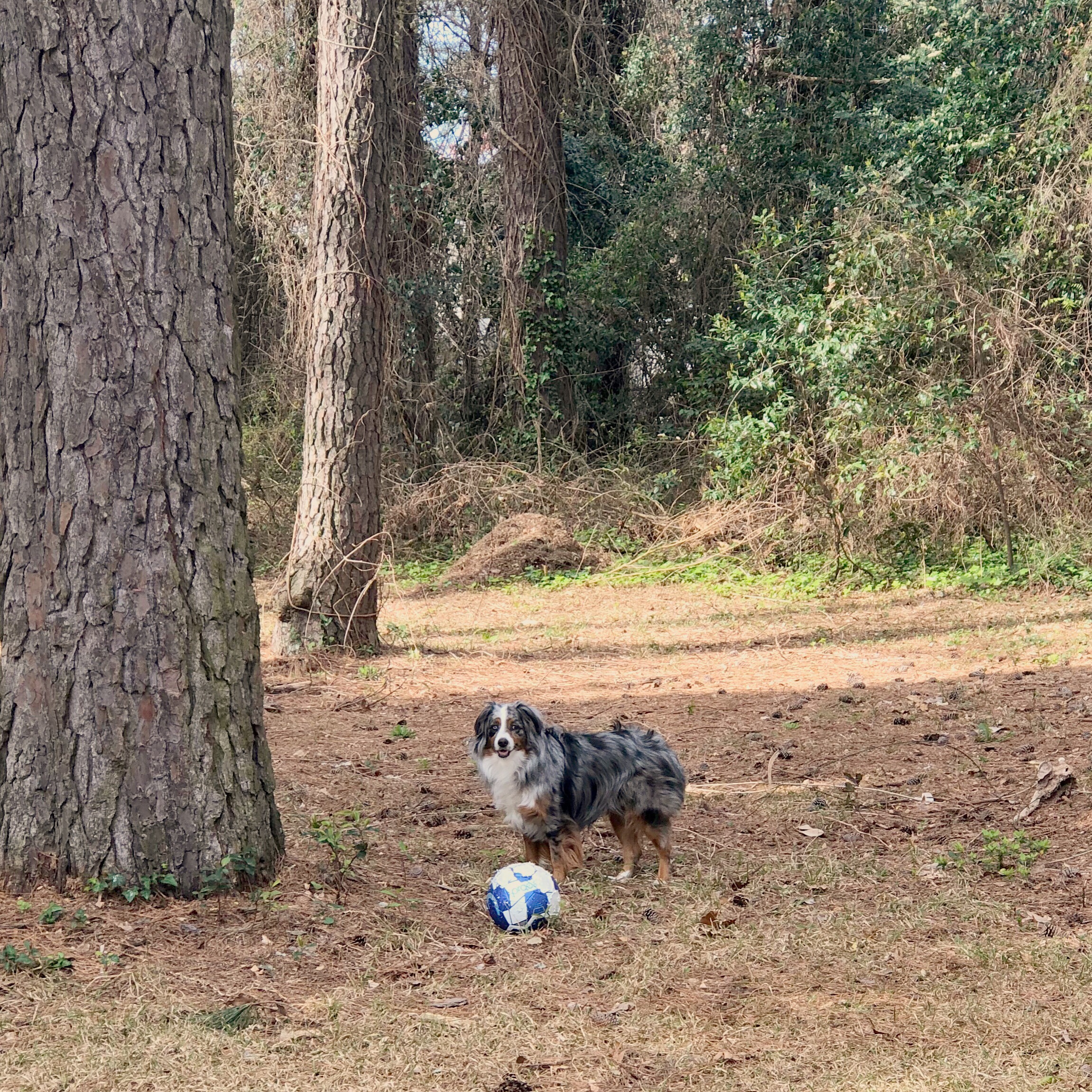 6ffc994a-d39a-4c24-8f4f-4b1d2666add4