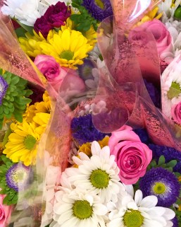 971b279d-6e1b-4623-ad5c-24e078ad9072